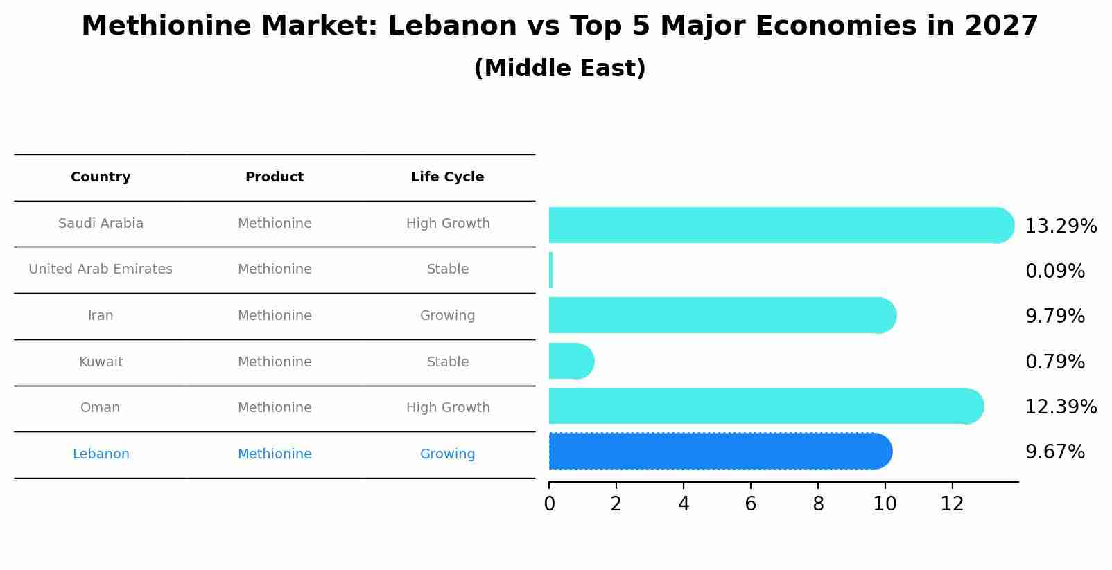 Methionine Market: Lebanon vs Top 5 Major Economies in 2027 (Middle East)