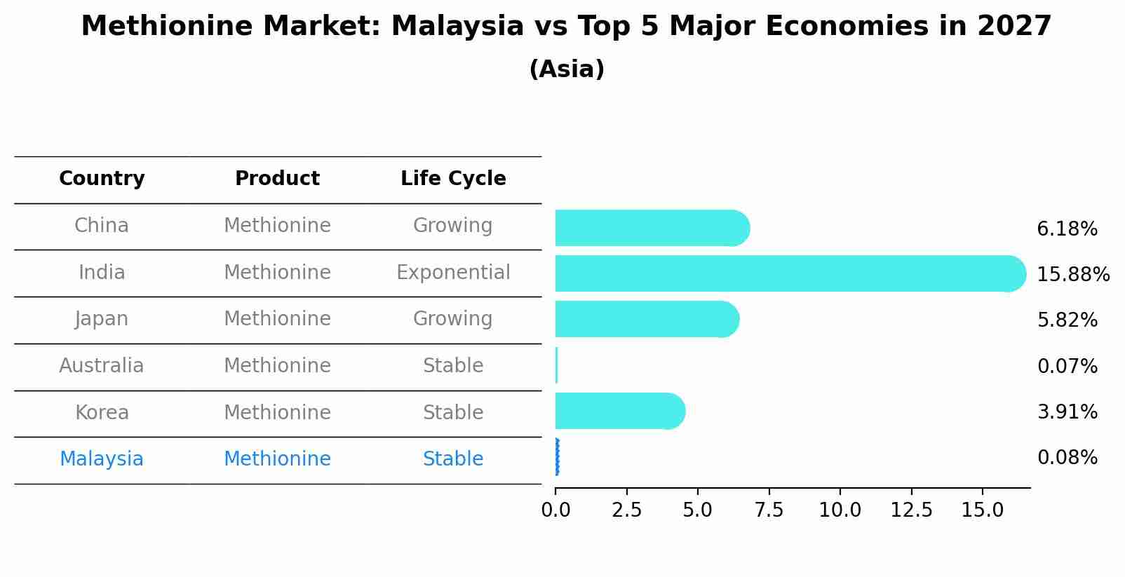 Methionine Market: Malaysia vs Top 5 Major Economies in 2027 (Asia)