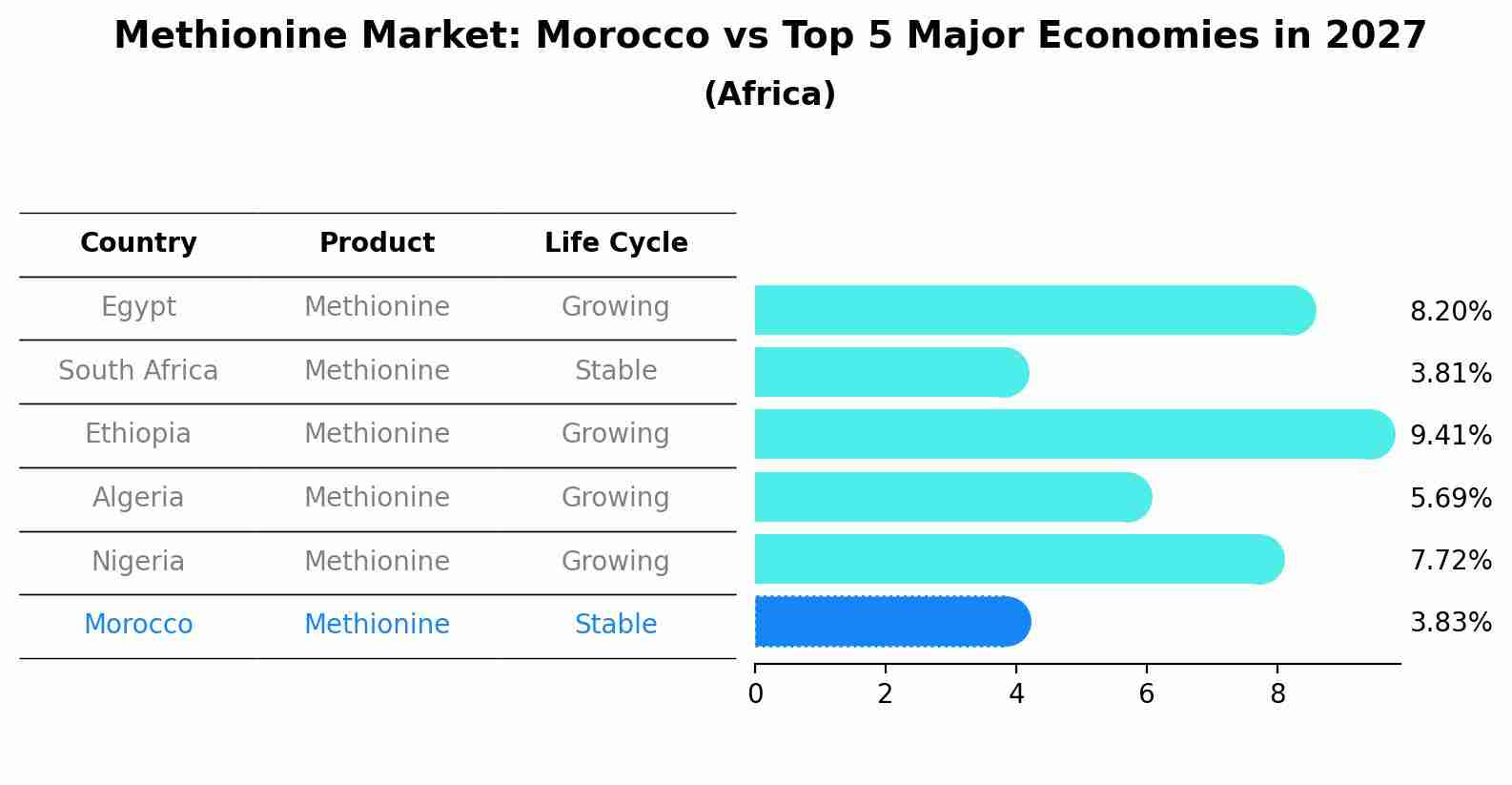 Methionine Market: Morocco vs Top 5 Major Economies in 2027 (Africa)
