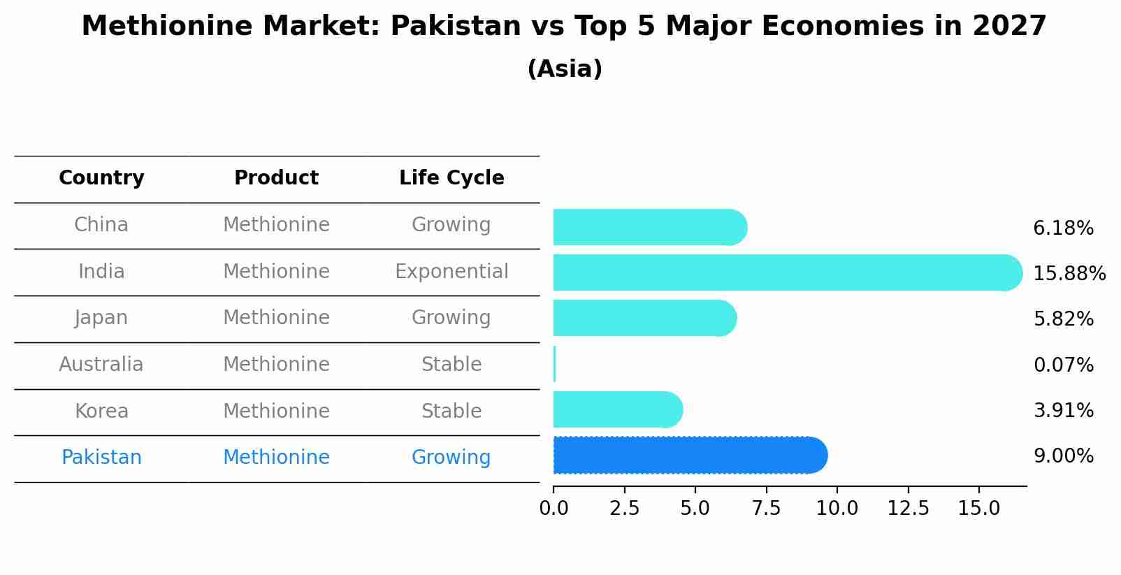 Methionine Market: Pakistan vs Top 5 Major Economies in 2027 (Asia)