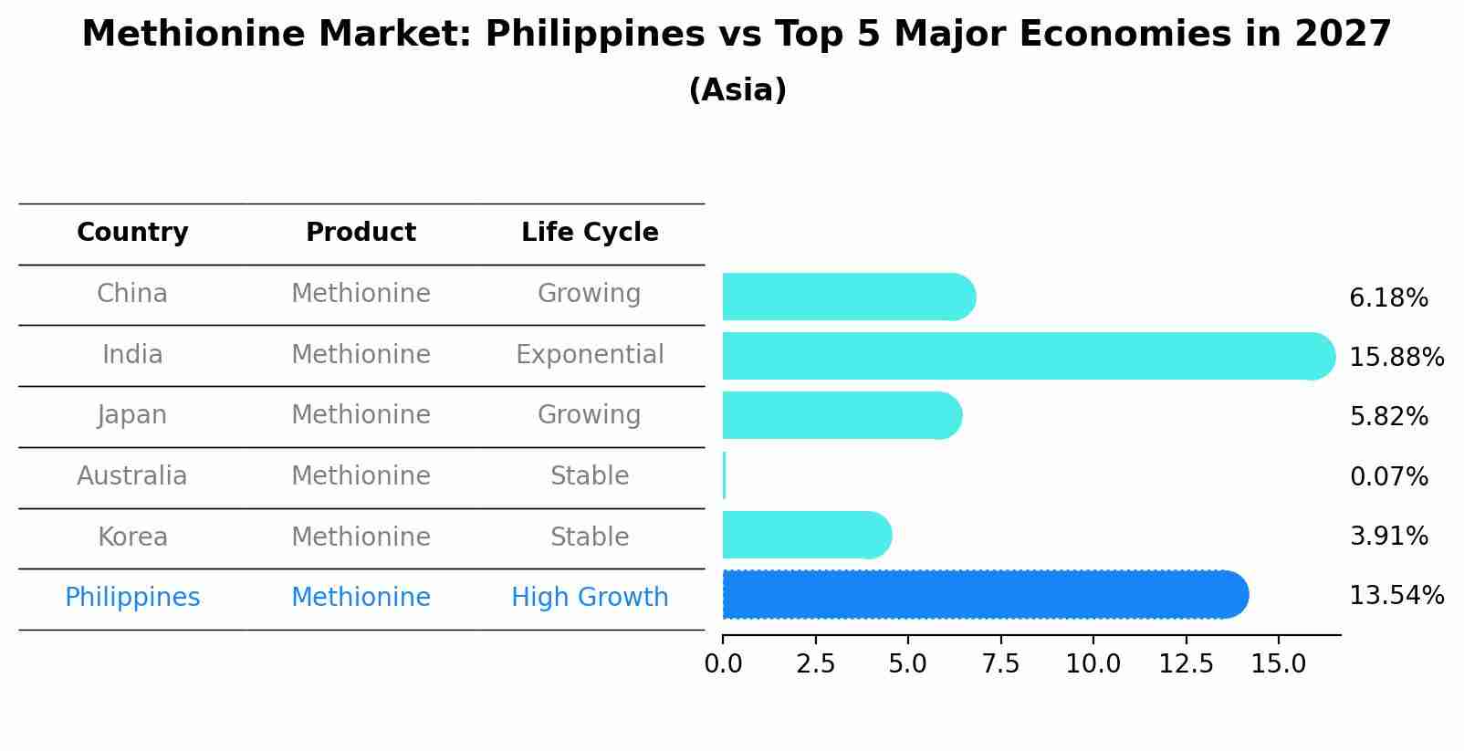 Methionine Market: Philippines vs Top 5 Major Economies in 2027 (Asia)