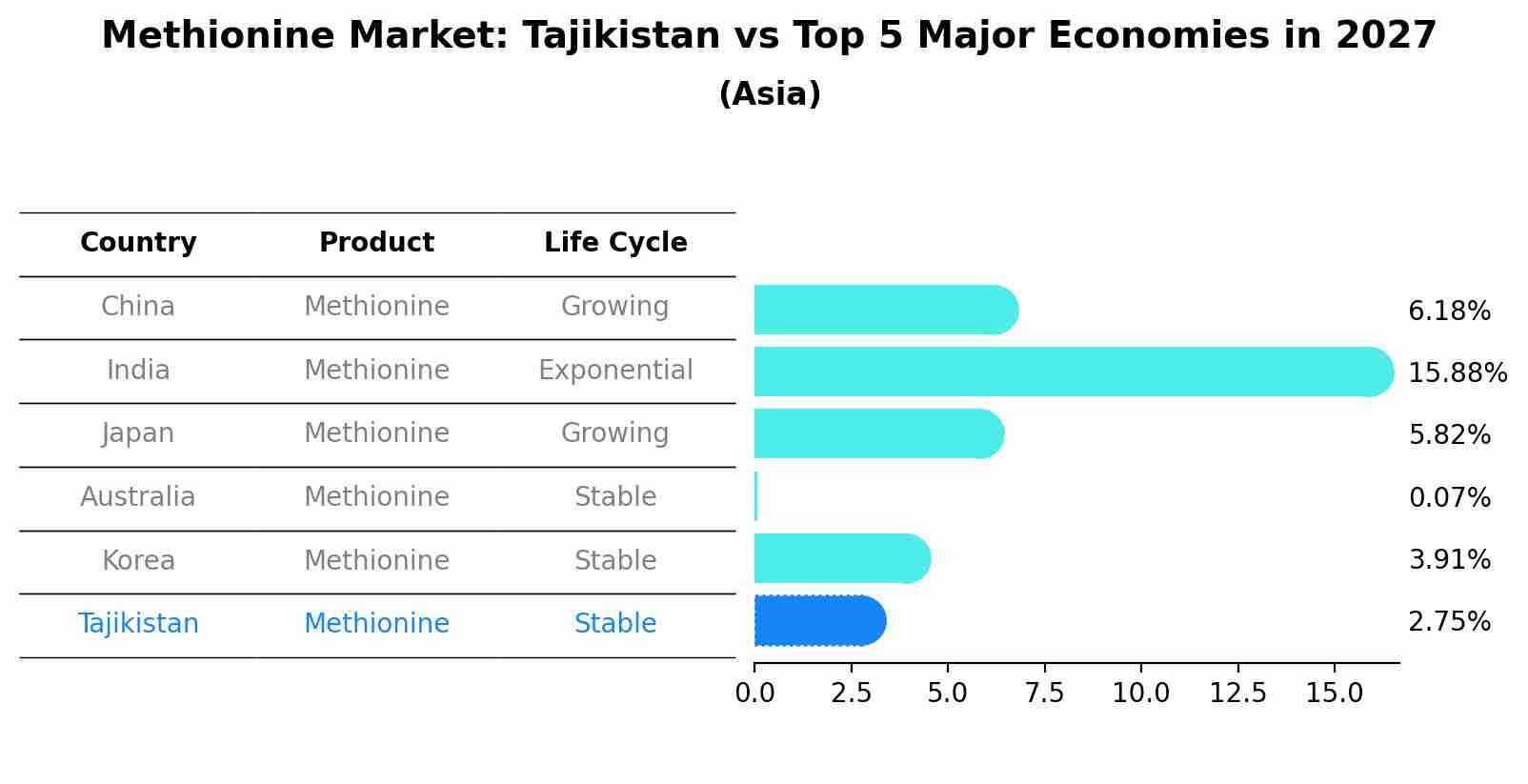 Methionine Market: Tajikistan vs Top 5 Major Economies in 2027 (Asia)