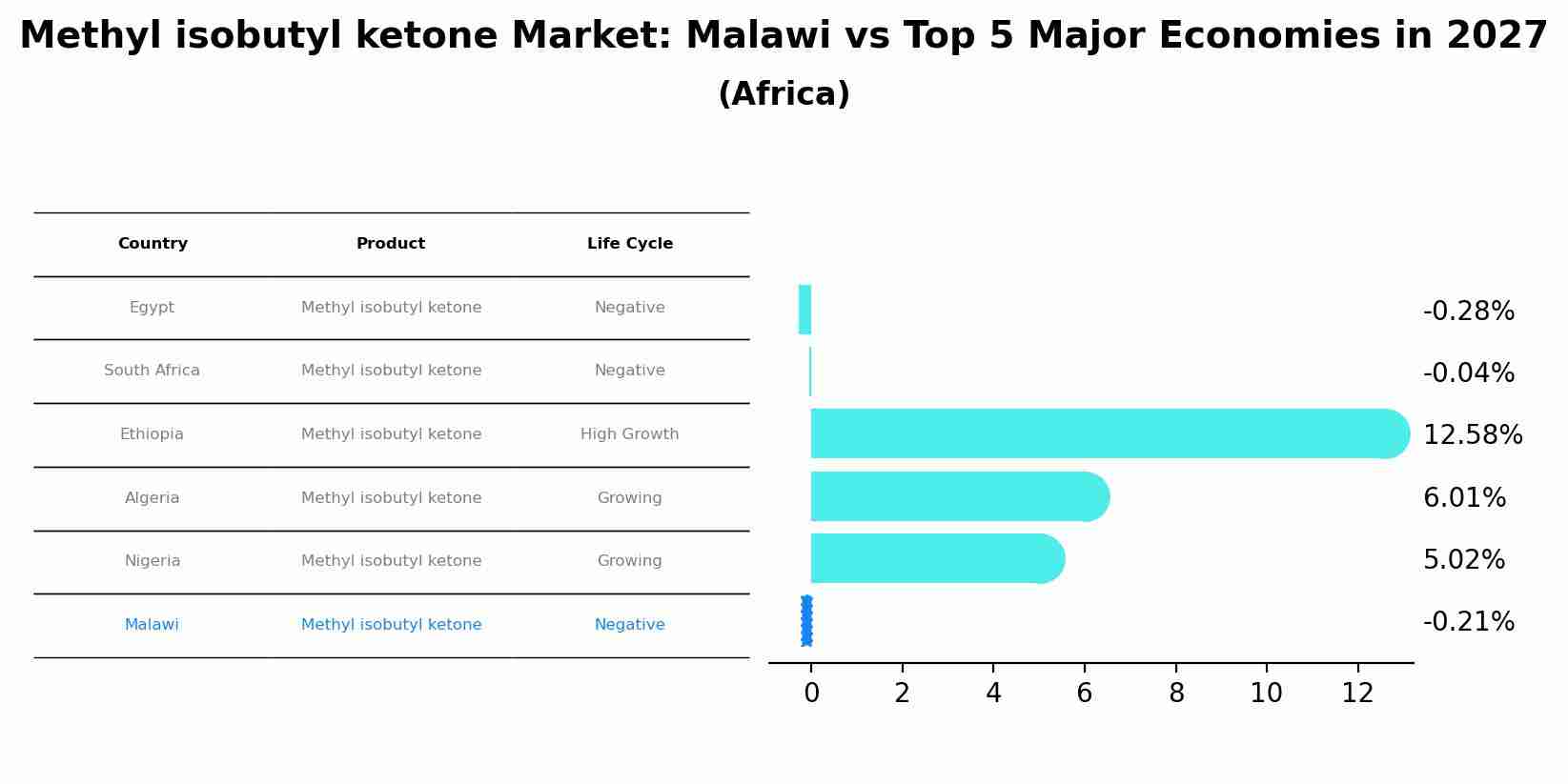 Methyl isobutyl ketone Market: Malawi vs Top 5 Major Economies in 2027 (Africa)