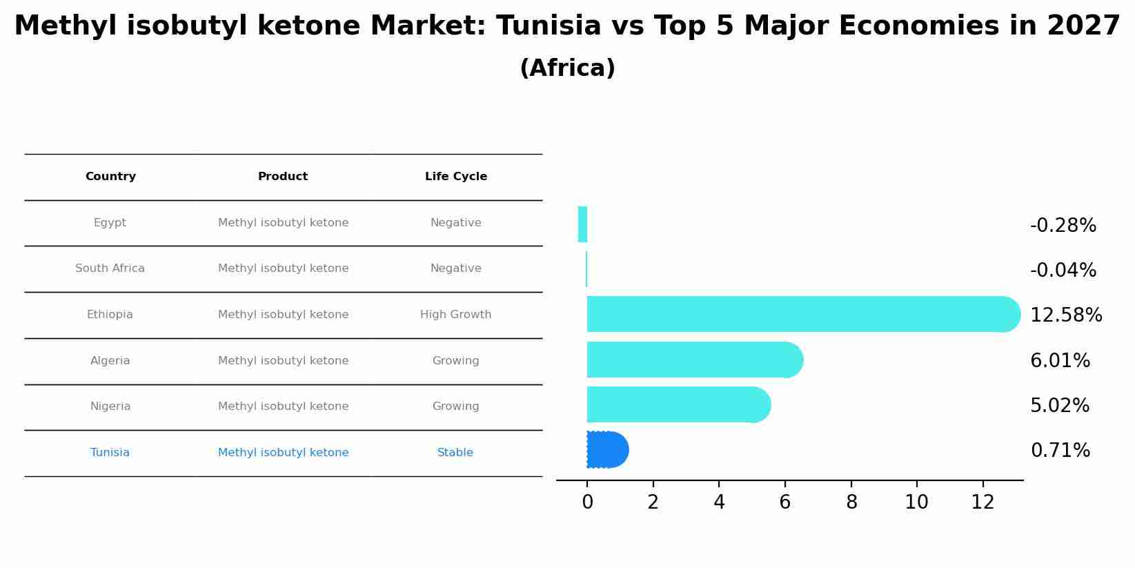 Methyl isobutyl ketone Market: Tunisia vs Top 5 Major Economies in 2027 (Africa)