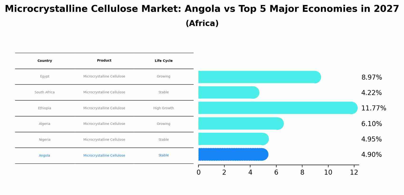 Microcrystalline Cellulose Market: Angola vs Top 5 Major Economies in 2027 (Africa)