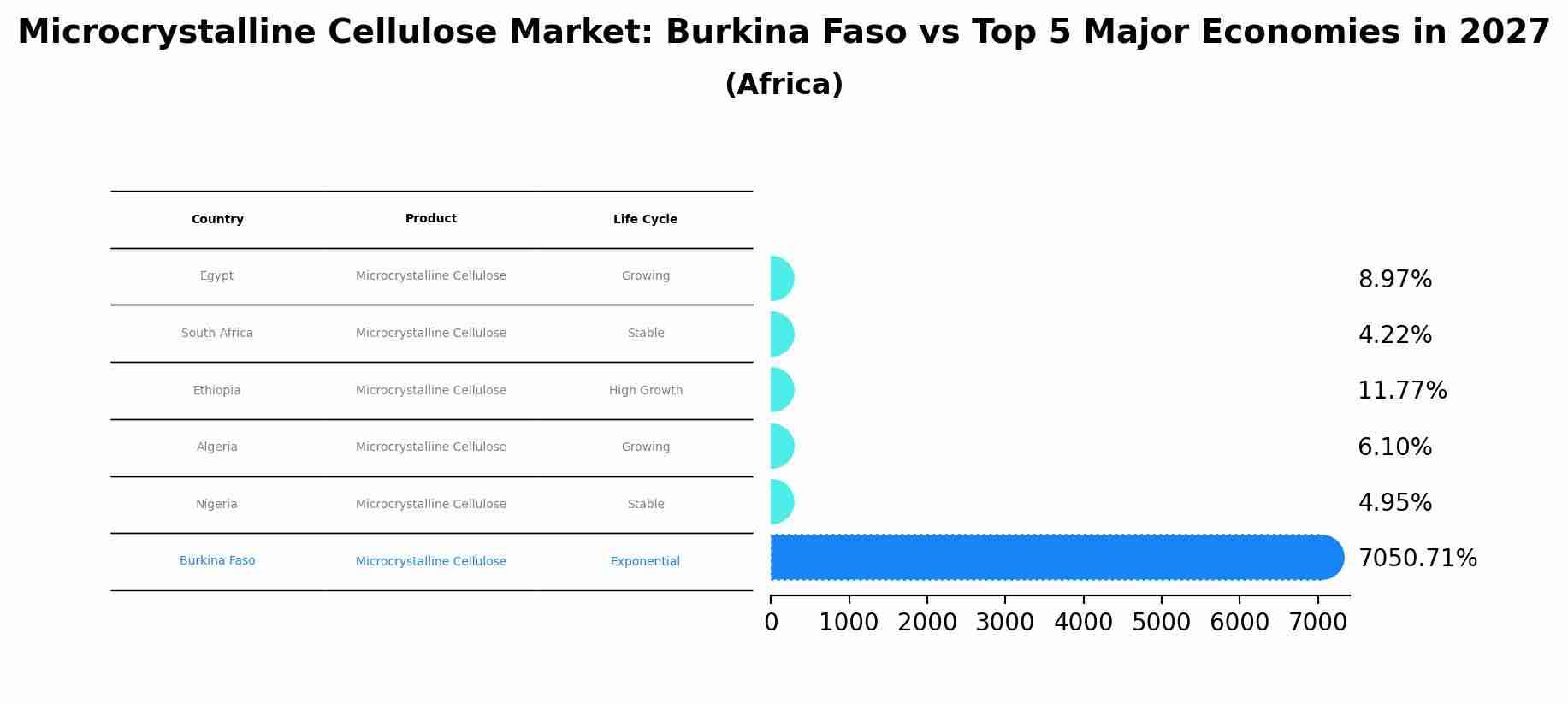 Microcrystalline Cellulose Market: Burkina Faso vs Top 5 Major Economies in 2027 (Africa)