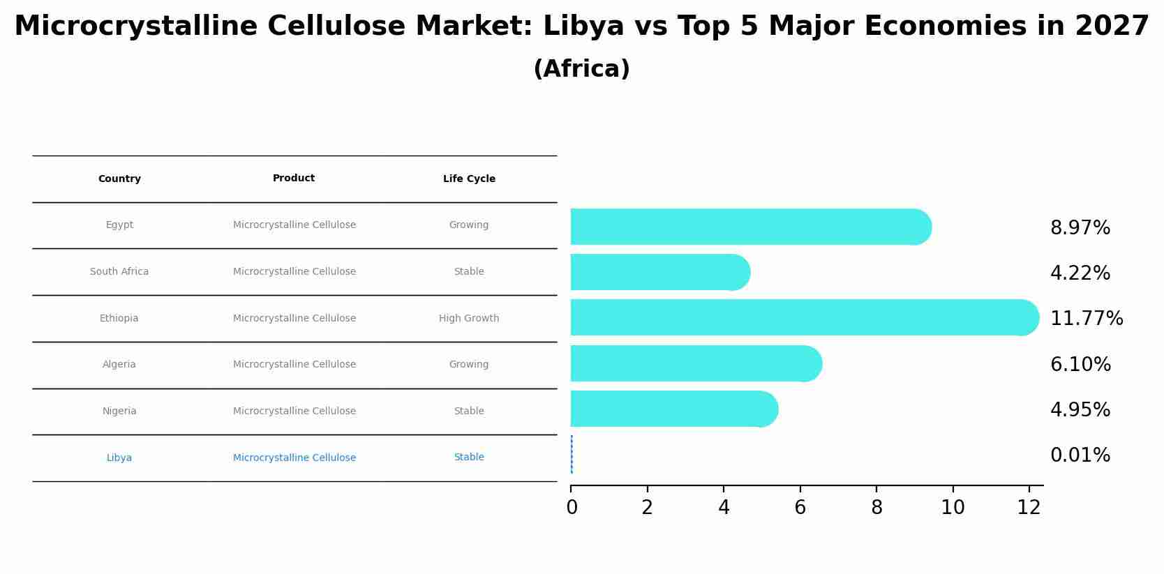 Microcrystalline Cellulose Market: Libya vs Top 5 Major Economies in 2027 (Africa)