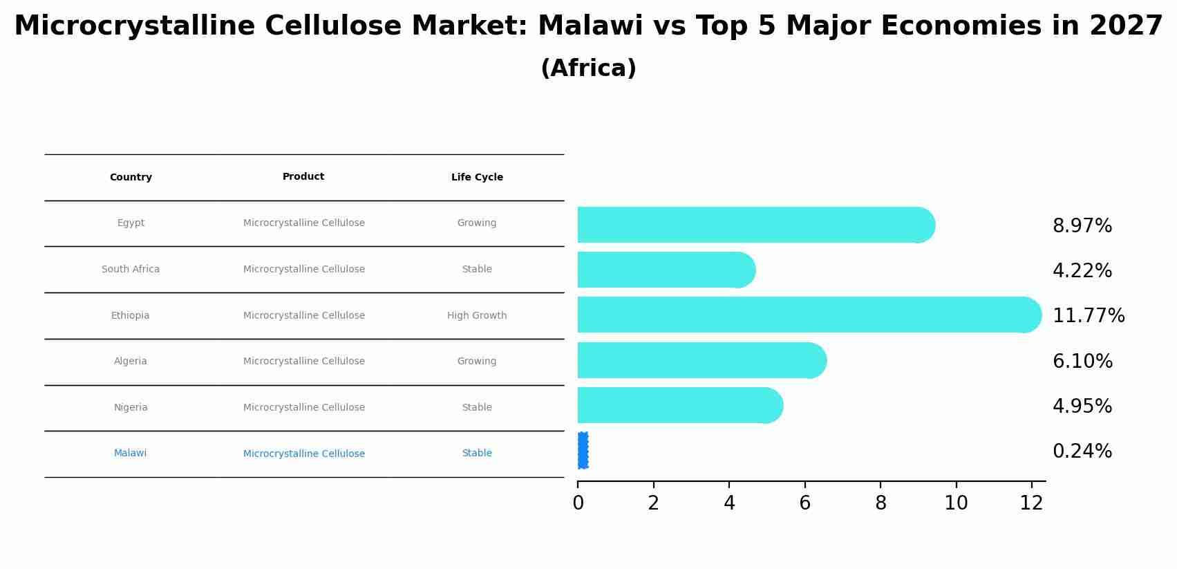 Microcrystalline Cellulose Market: Malawi vs Top 5 Major Economies in 2027 (Africa)