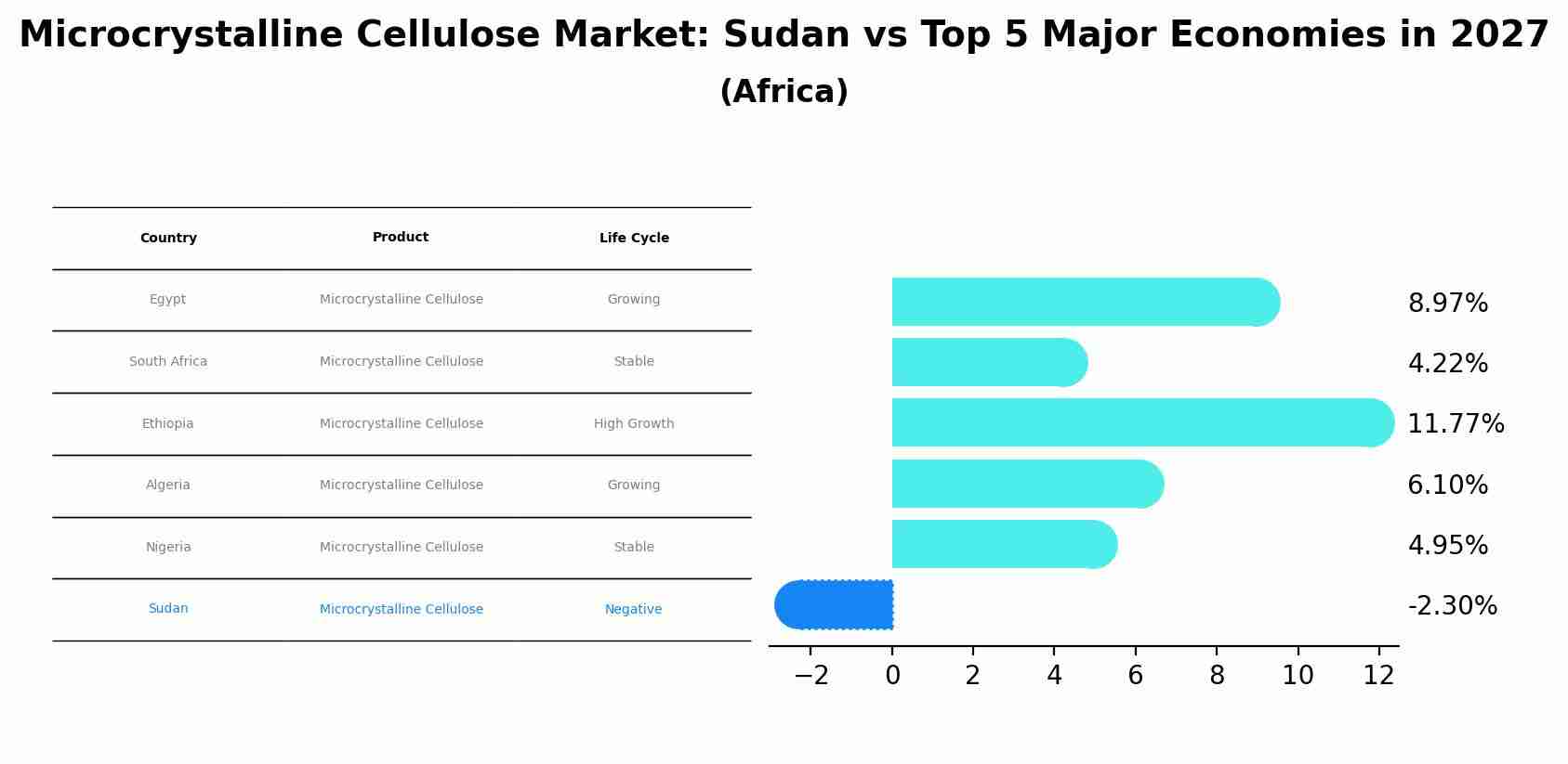 Microcrystalline Cellulose Market: Sudan vs Top 5 Major Economies in 2027 (Africa)