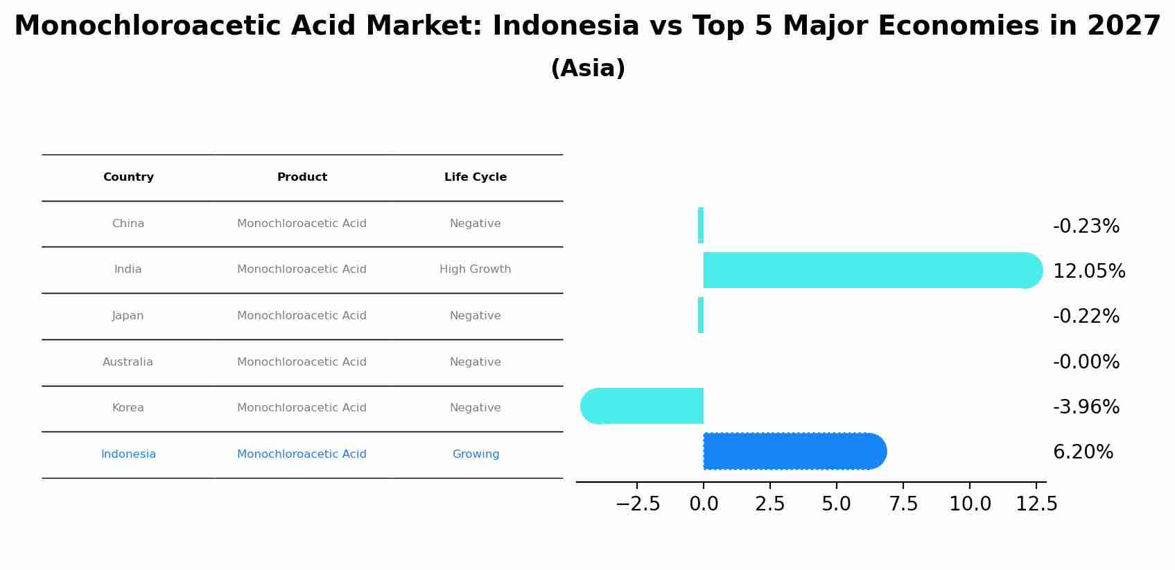 Monochloroacetic Acid Market: Indonesia vs Top 5 Major Economies in 2027 (Asia)