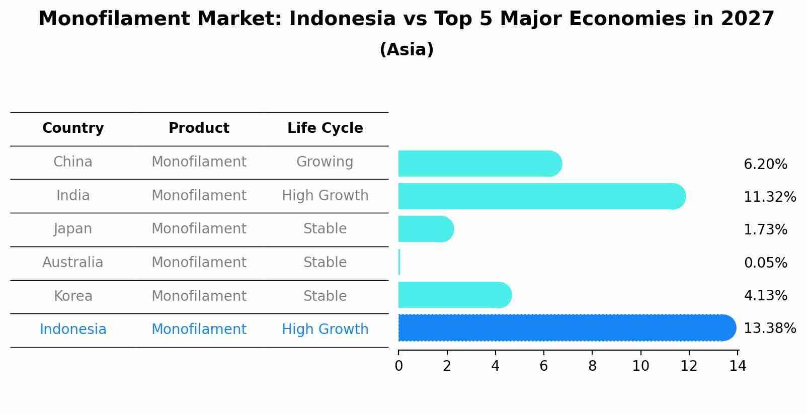 Monofilament Market: Indonesia vs Top 5 Major Economies in 2027 (Asia)