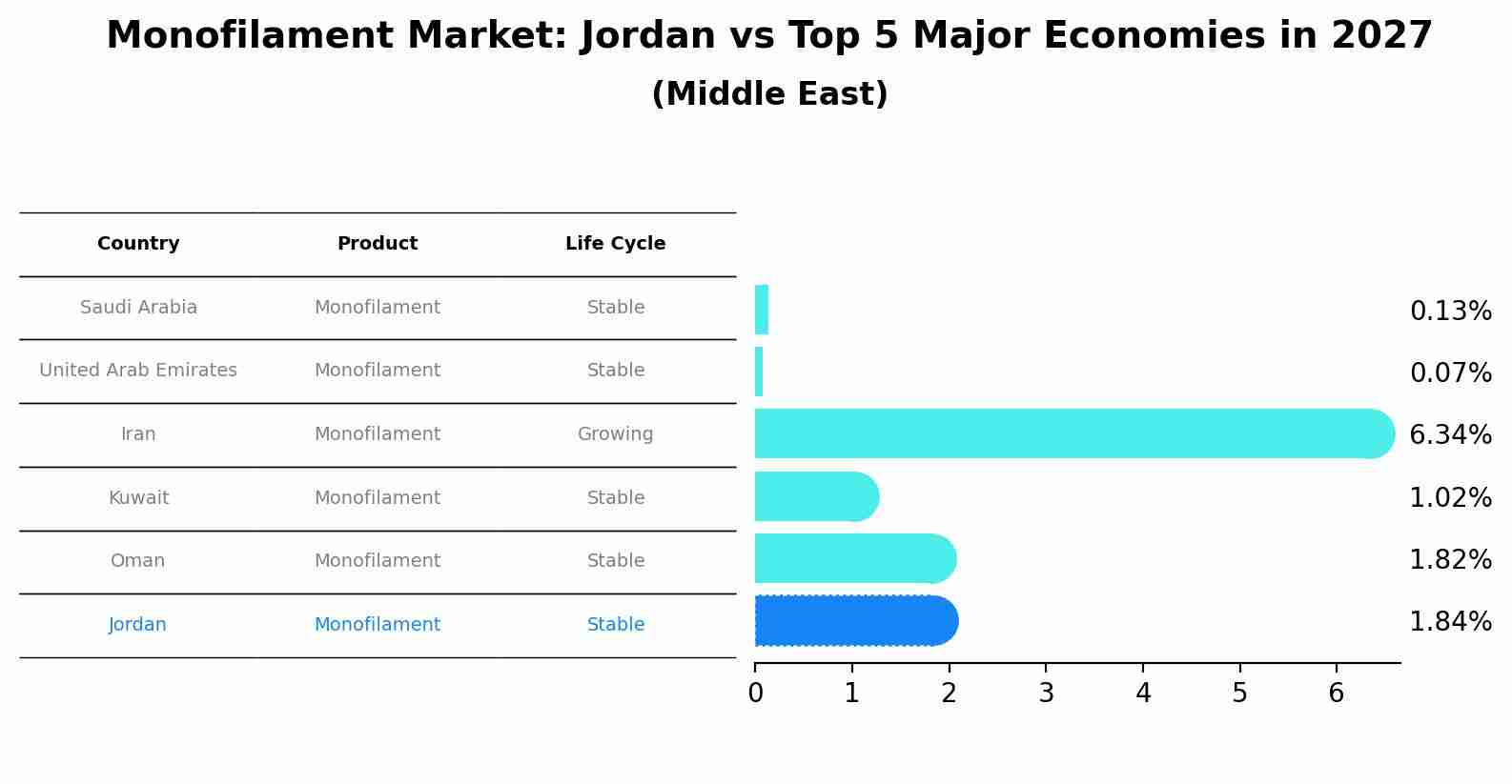 Monofilament Market: Jordan vs Top 5 Major Economies in 2027 (Middle East)