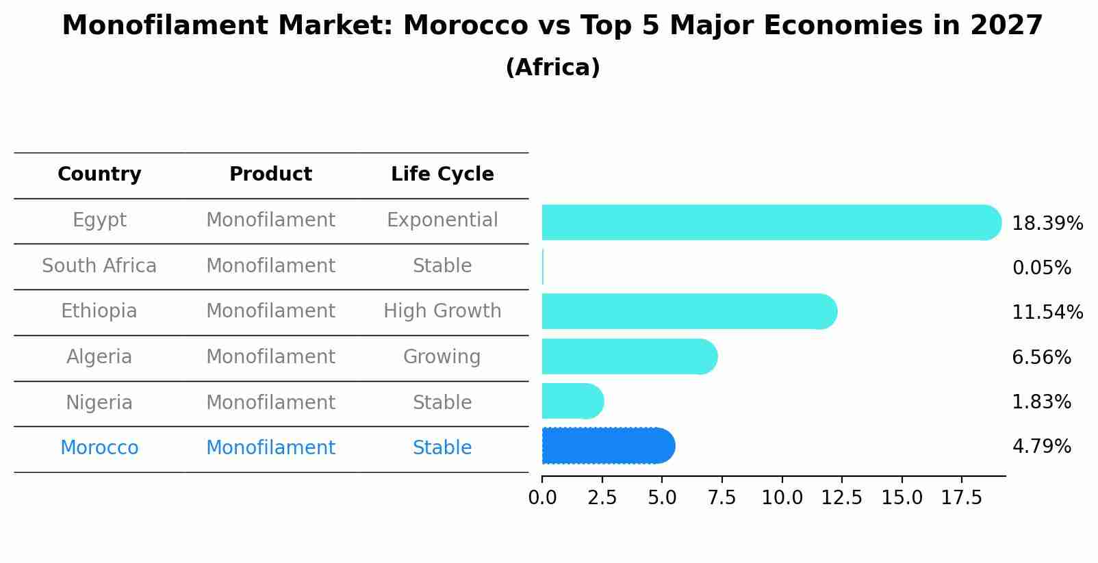 Monofilament Market: Morocco vs Top 5 Major Economies in 2027 (Africa)