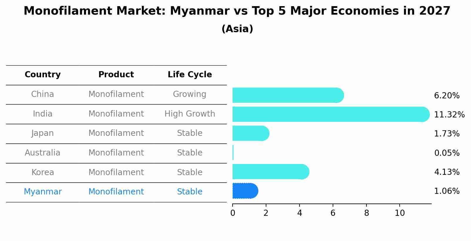 Monofilament Market: Myanmar vs Top 5 Major Economies in 2027 (Asia)