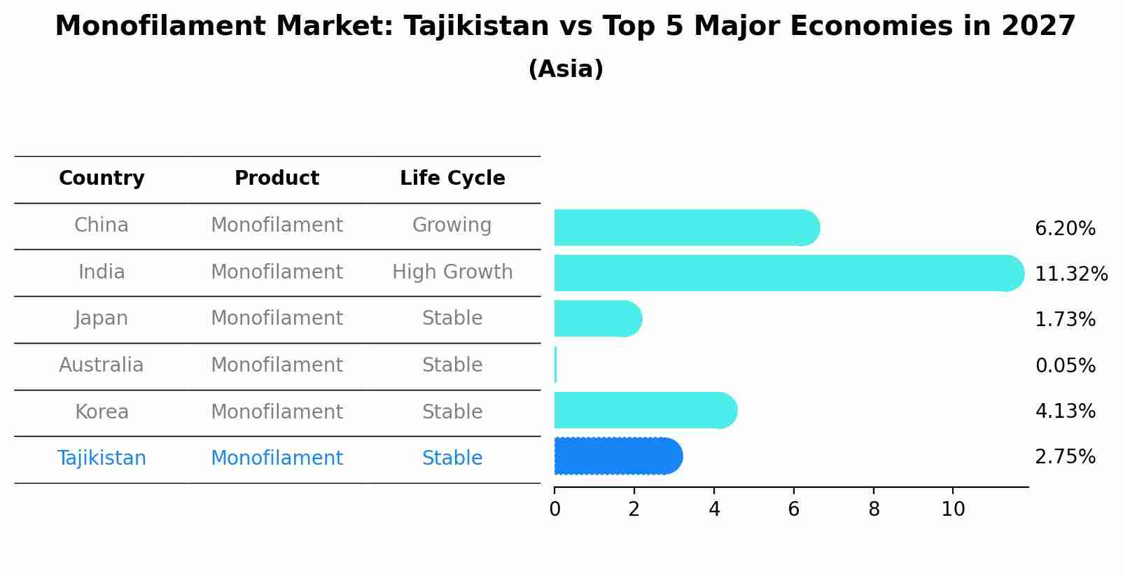 Monofilament Market: Tajikistan vs Top 5 Major Economies in 2027 (Asia)