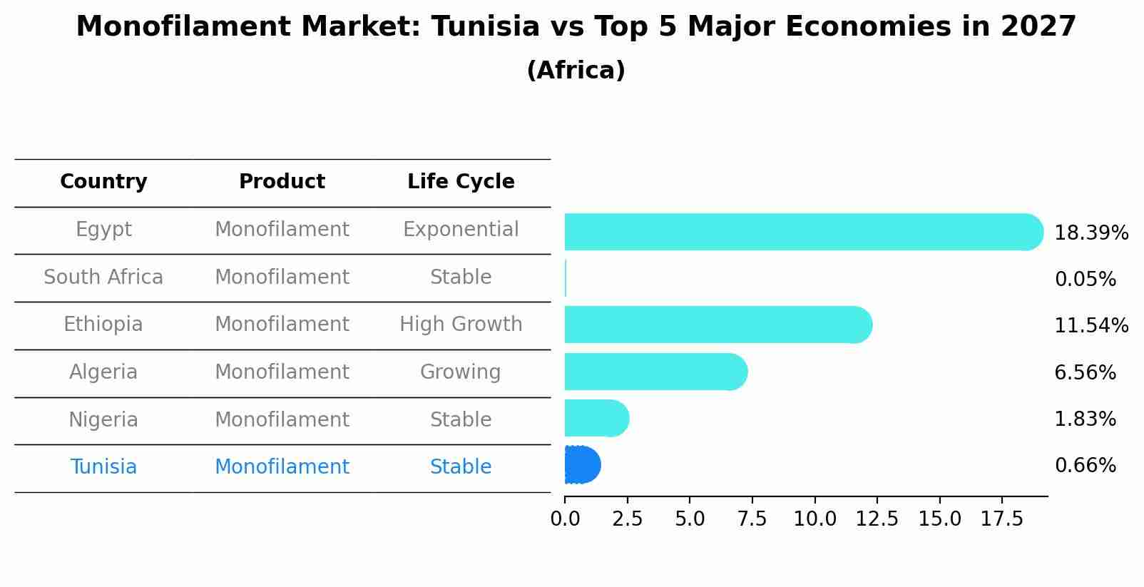 Monofilament Market: Tunisia vs Top 5 Major Economies in 2027 (Africa)