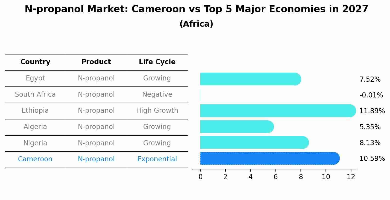 N-propanol Market: Cameroon vs Top 5 Major Economies in 2027 (Africa)