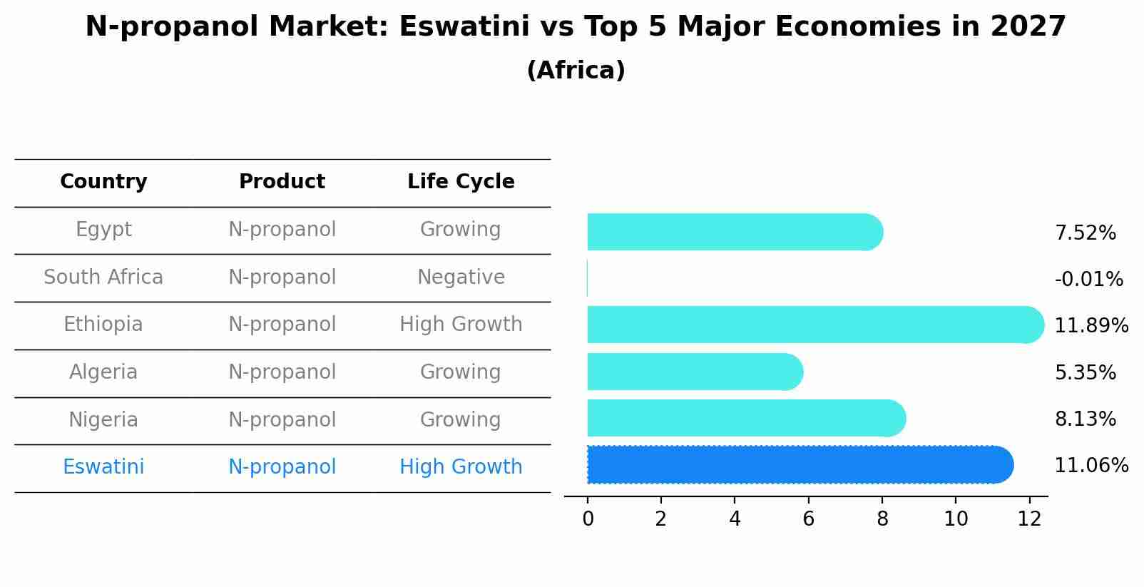 N-propanol Market: Eswatini vs Top 5 Major Economies in 2027 (Africa)