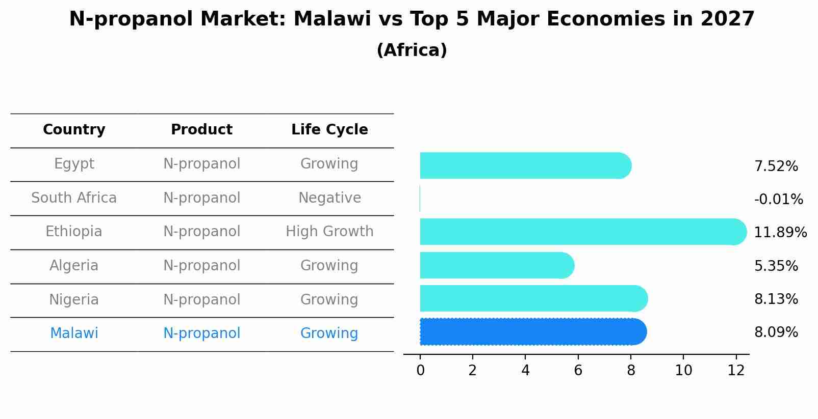 N-propanol Market: Malawi vs Top 5 Major Economies in 2027 (Africa)