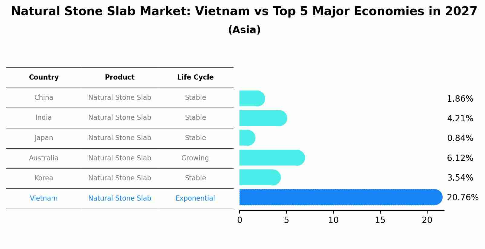 Natural Stone Slab Market: Vietnam vs Top 5 Major Economies in 2027 (Asia)