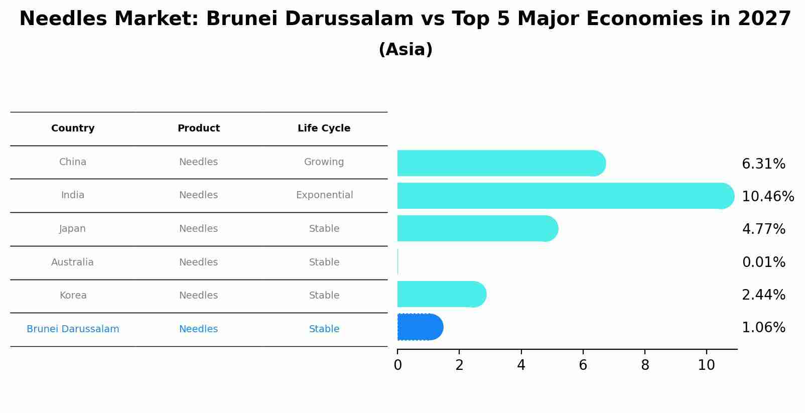 Needles Market: Brunei Darussalam vs Top 5 Major Economies in 2027 (Asia)