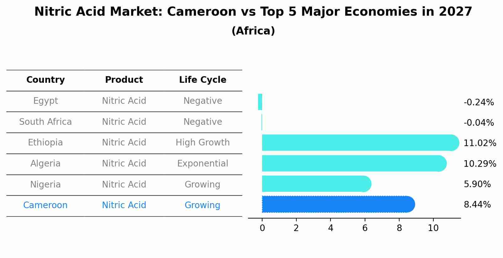 Nitric Acid Market: Cameroon vs Top 5 Major Economies in 2027 (Africa)