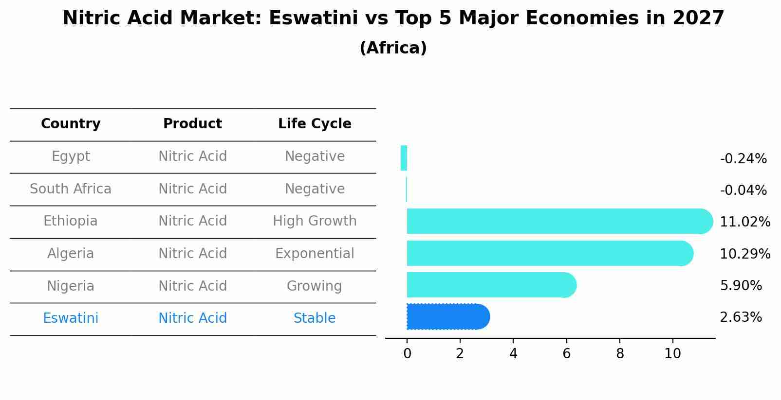 Nitric Acid Market: Eswatini vs Top 5 Major Economies in 2027 (Africa)