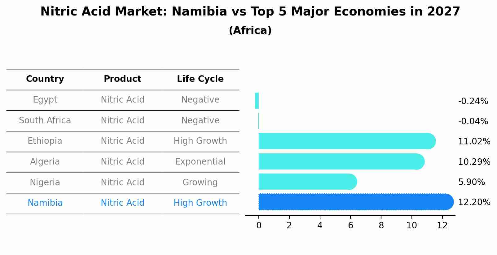 Nitric Acid Market: Namibia vs Top 5 Major Economies in 2027 (Africa)