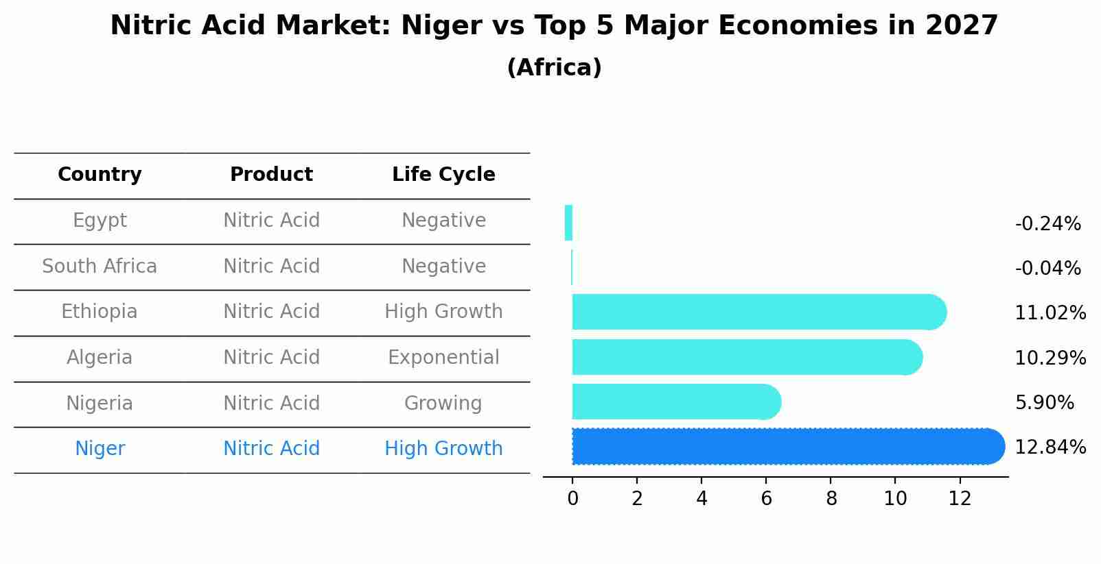 Nitric Acid Market: Niger vs Top 5 Major Economies in 2027 (Africa)
