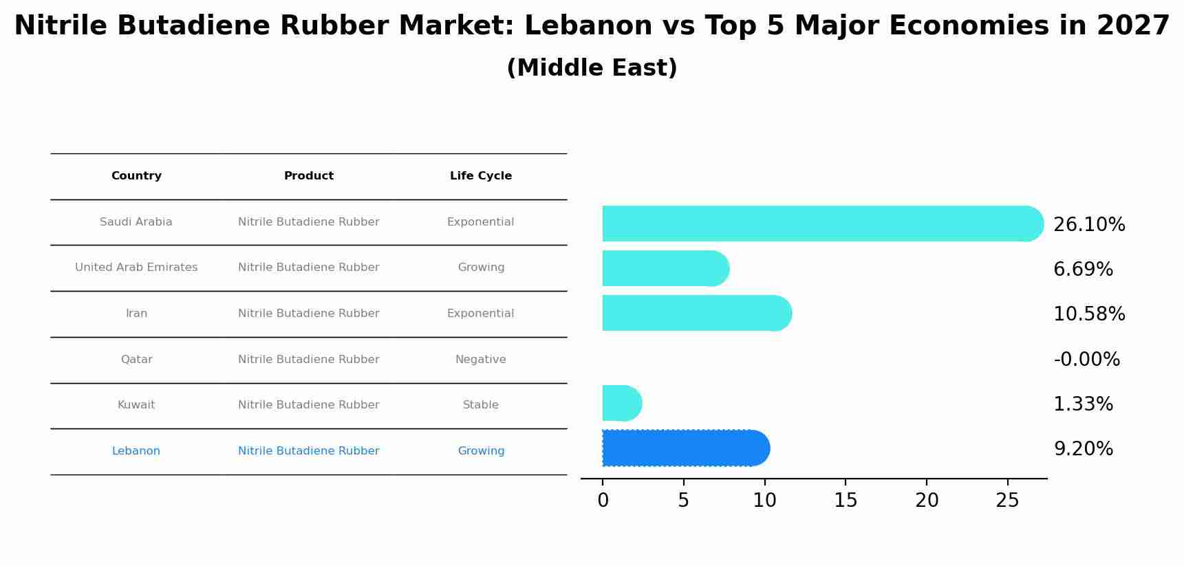 Nitrile Butadiene Rubber Market: Lebanon vs Top 5 Major Economies in 2027 (Middle East)