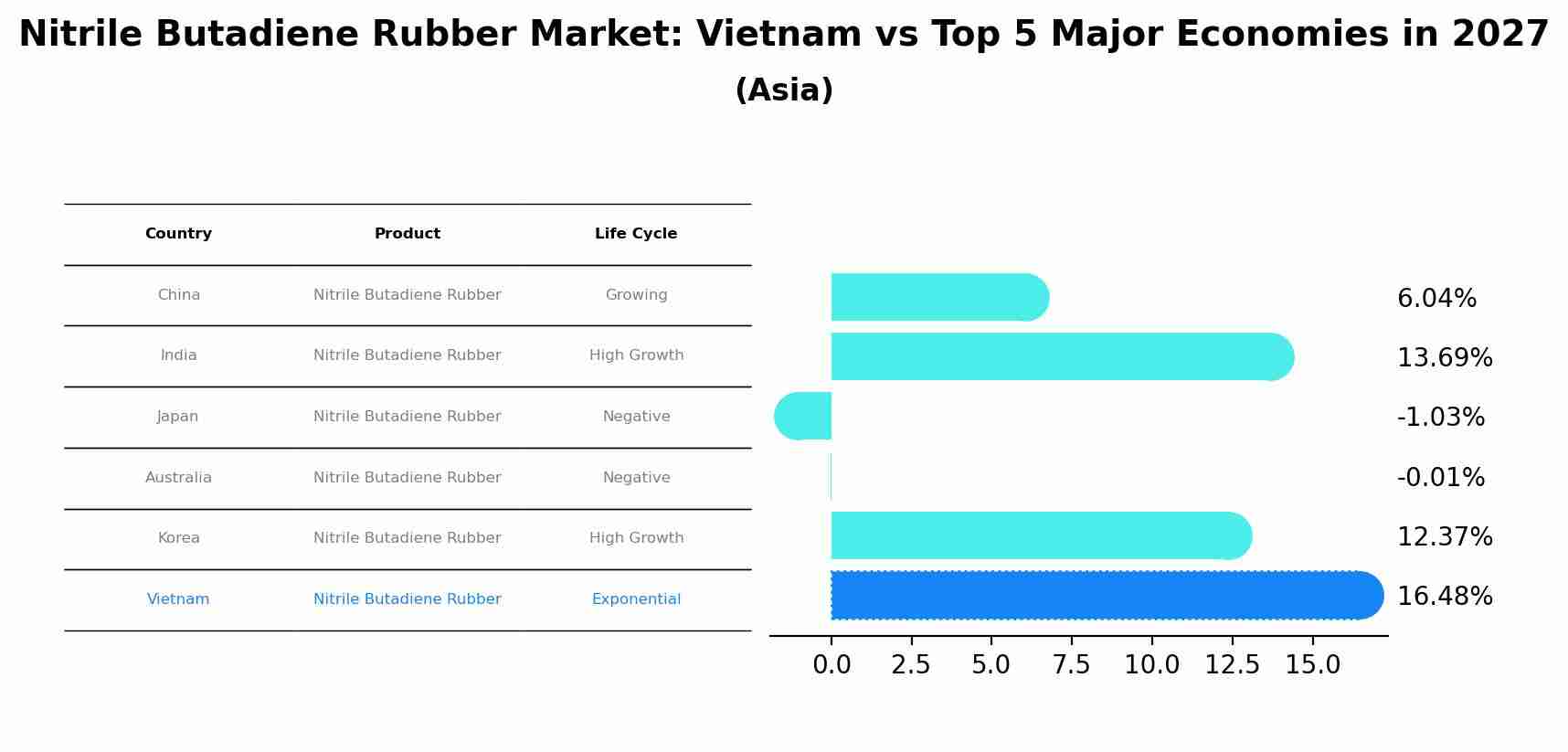 Nitrile Butadiene Rubber Market: Vietnam vs Top 5 Major Economies in 2027 (Asia)