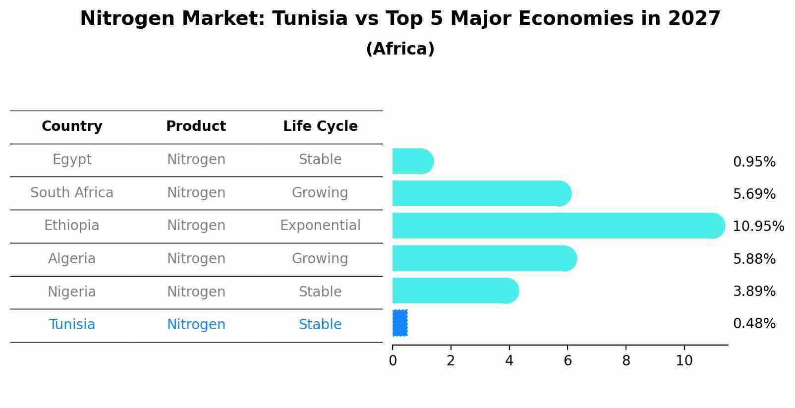Nitrogen Market: Tunisia vs Top 5 Major Economies in 2027 (Africa)