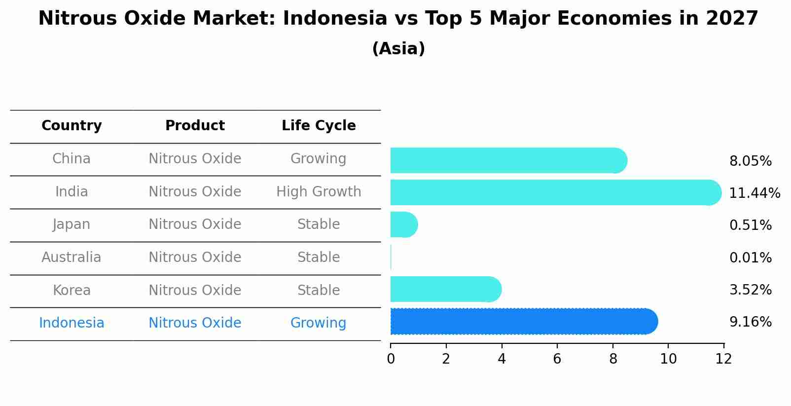 Nitrous Oxide Market: Indonesia vs Top 5 Major Economies in 2027 (Asia)