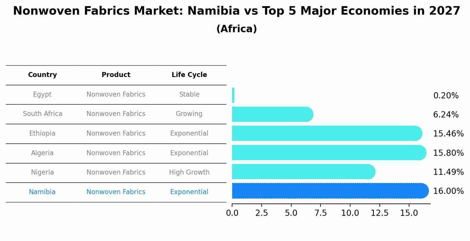 Nonwoven Fabrics Market: Namibia vs Top 5 Major Economies in 2027 (Africa)