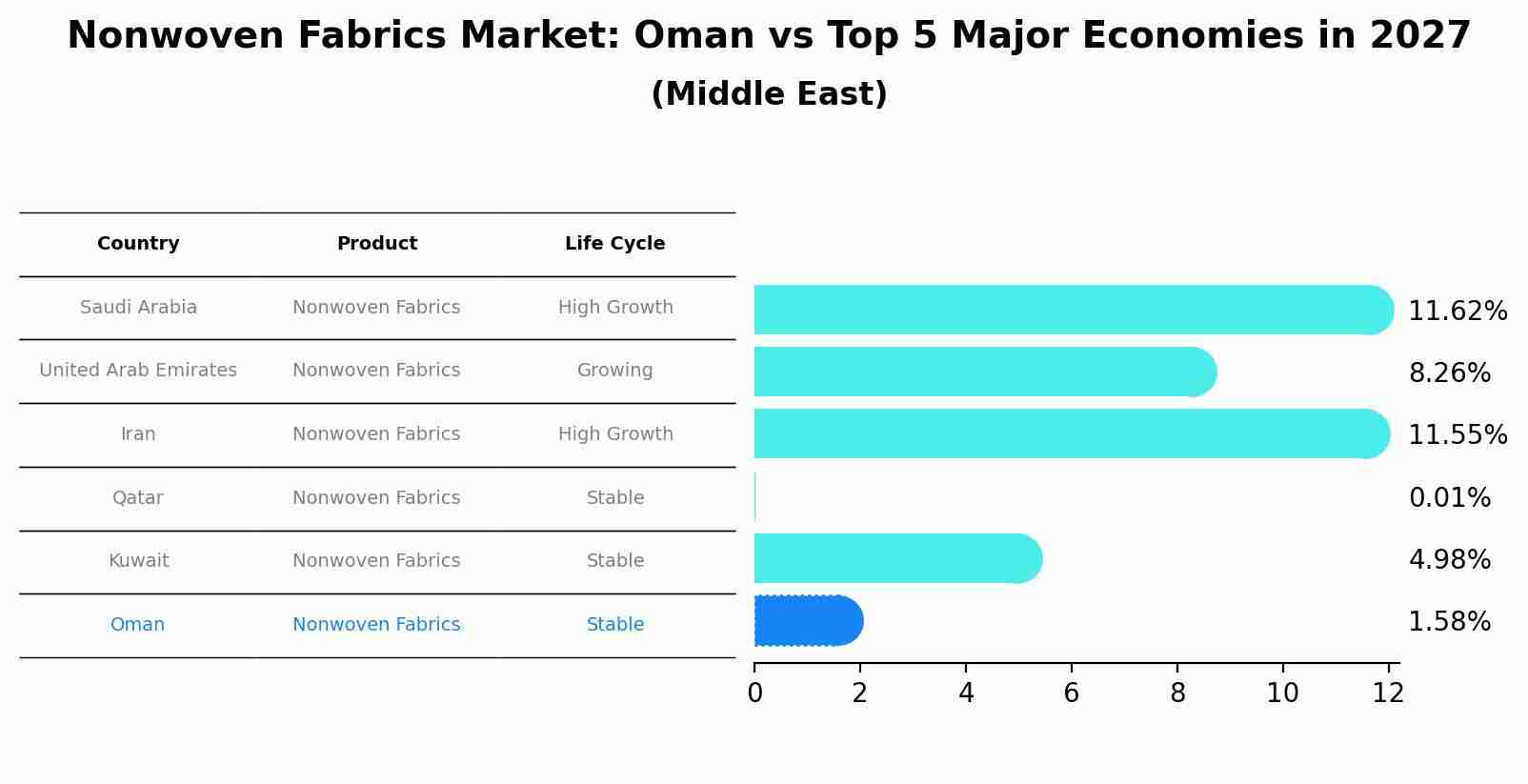Nonwoven Fabrics Market: Oman vs Top 5 Major Economies in 2027 (Middle East)