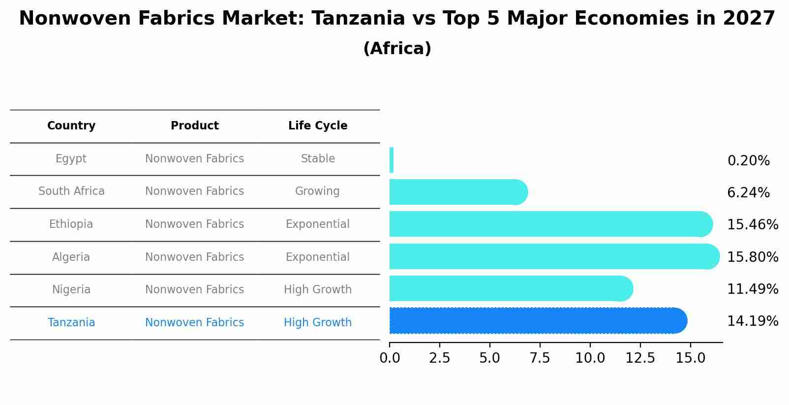 Nonwoven Fabrics Market: Tanzania vs Top 5 Major Economies in 2027 (Africa)