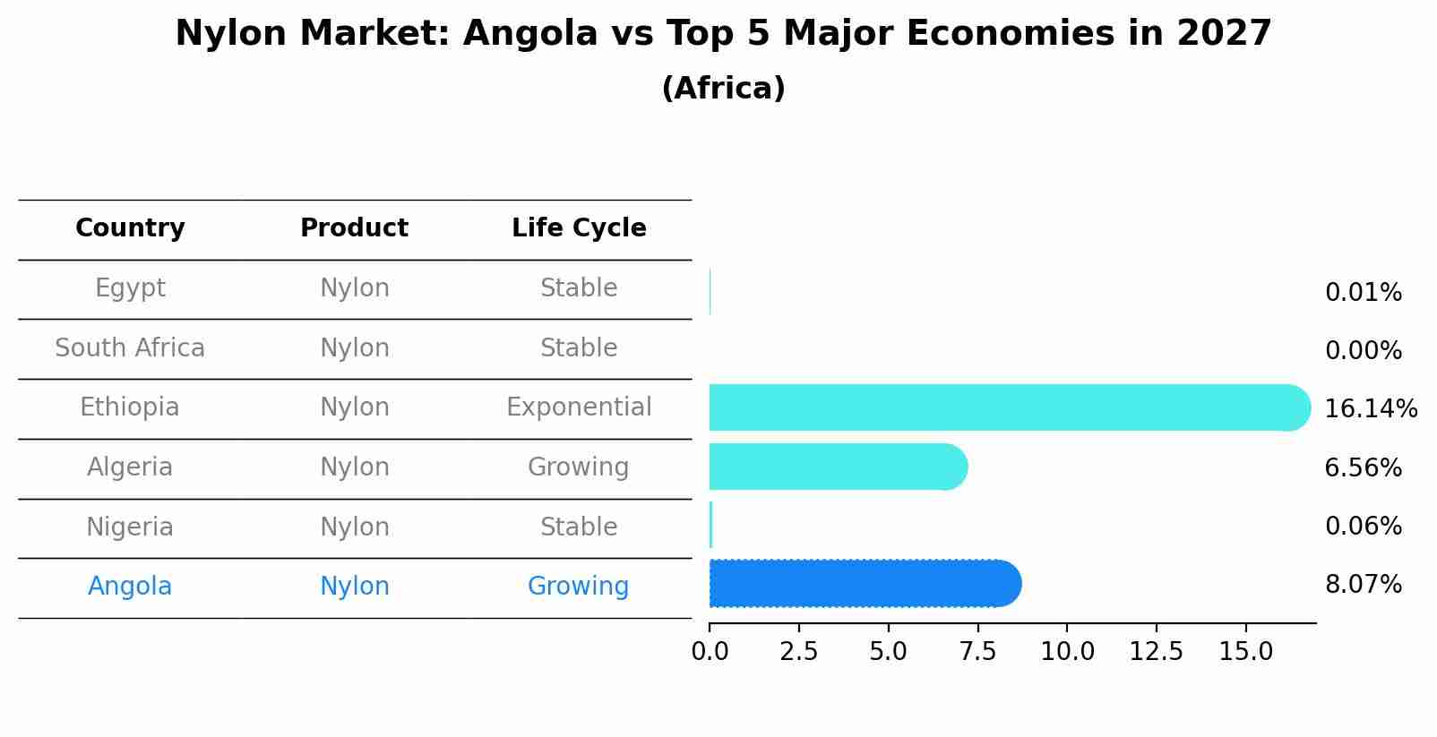 Nylon Market: Angola vs Top 5 Major Economies in 2027 (Africa)