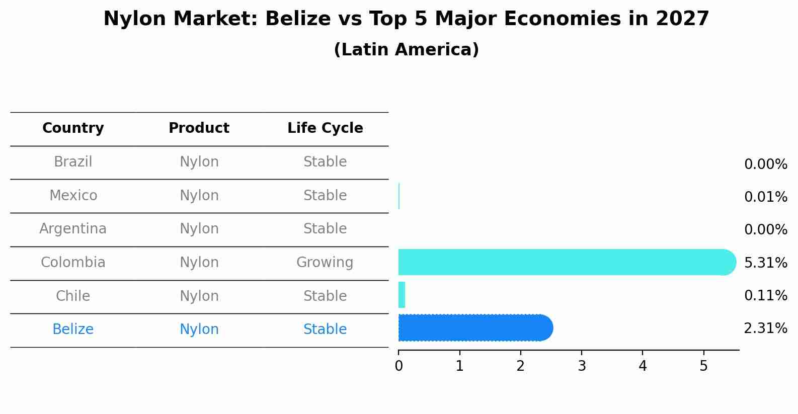Nylon Market: Belize vs Top 5 Major Economies in 2027 (Latin America)