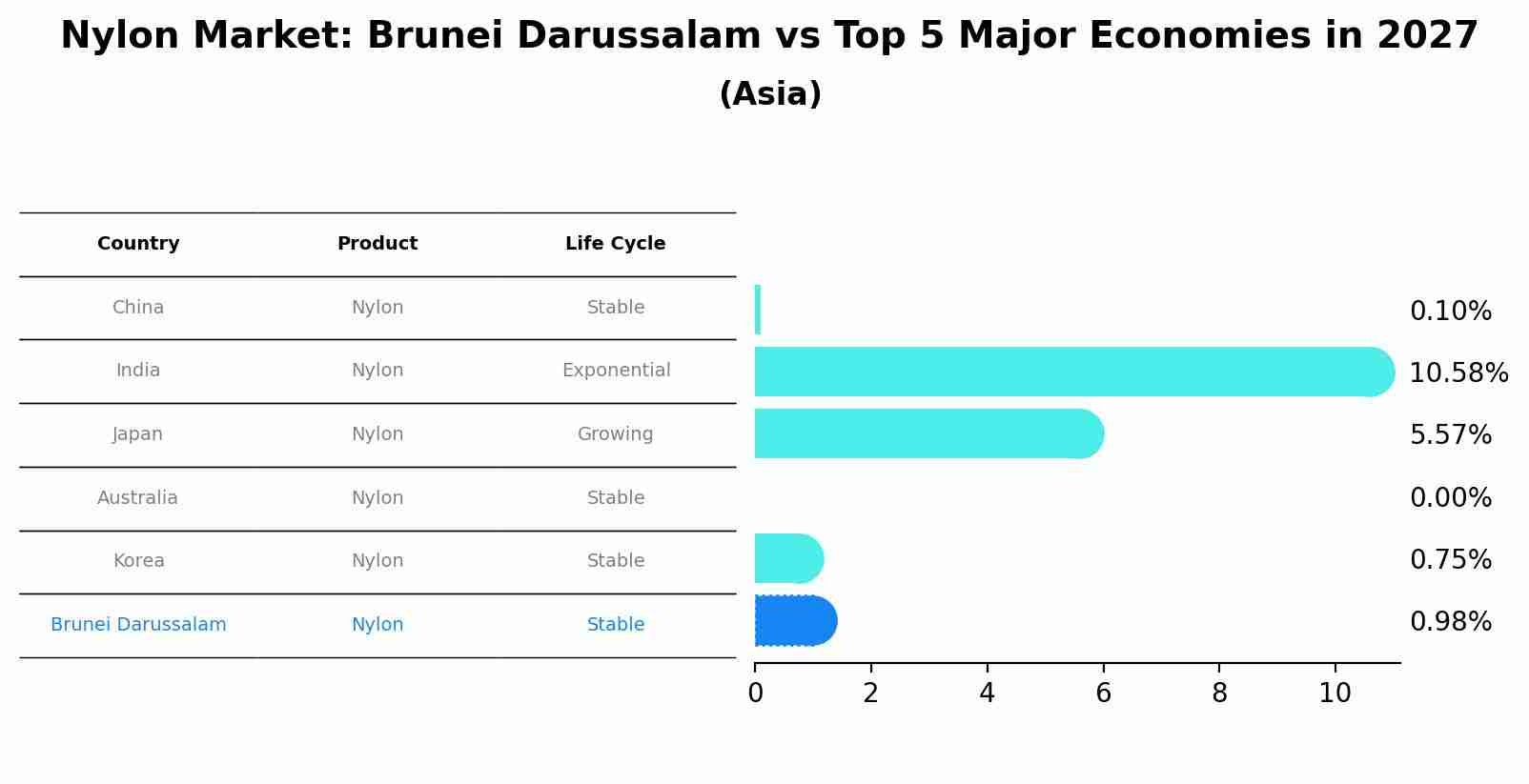 Nylon Market: Brunei Darussalam vs Top 5 Major Economies in 2027 (Asia)