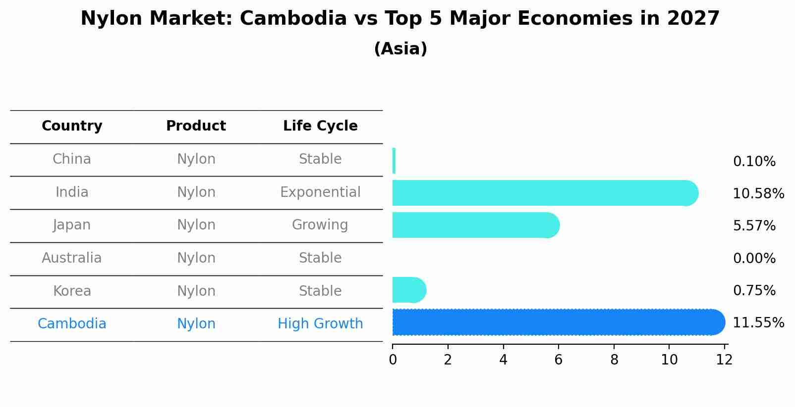 Nylon Market: Cambodia vs Top 5 Major Economies in 2027 (Asia)