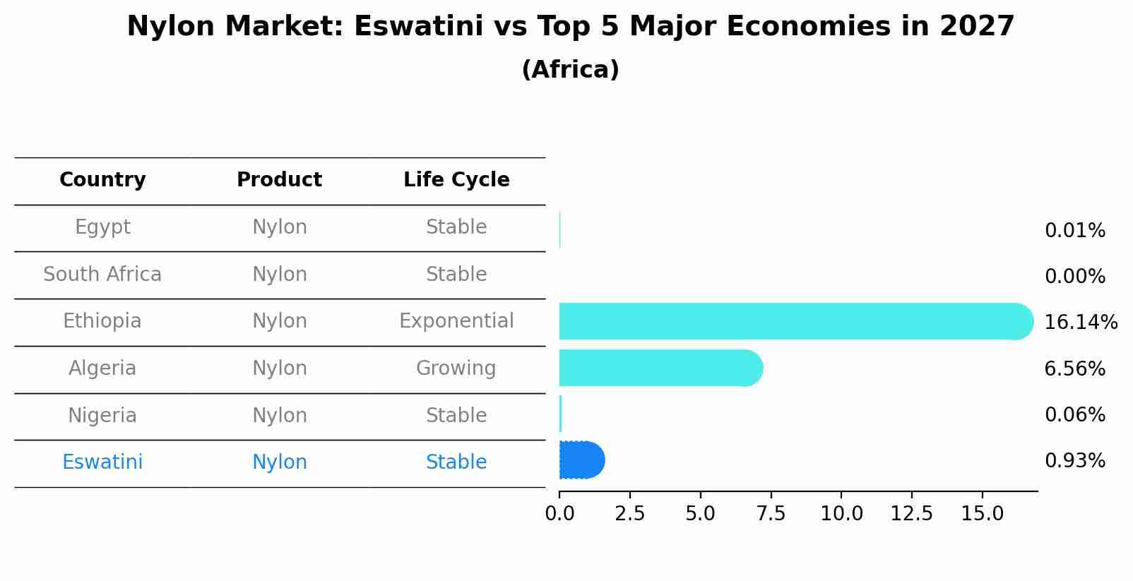 Nylon Market: Eswatini vs Top 5 Major Economies in 2027 (Africa)