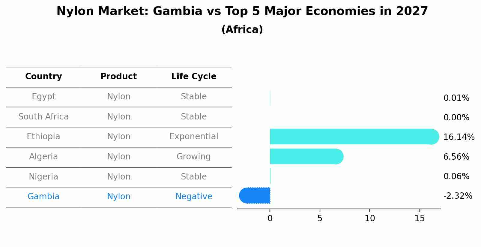 Nylon Market: Gambia vs Top 5 Major Economies in 2027 (Africa)