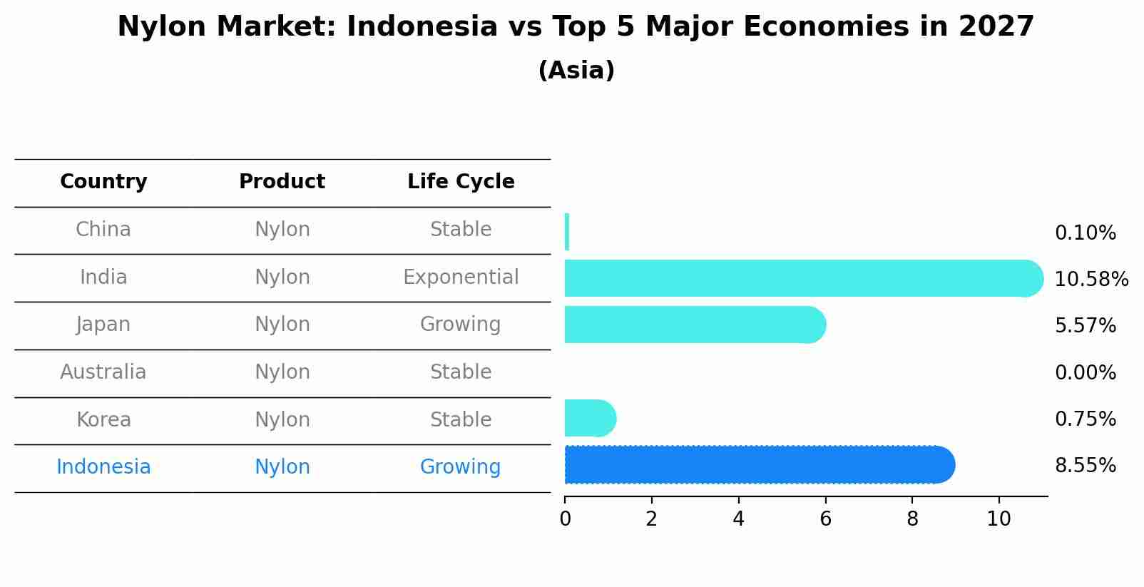 Nylon Market: Indonesia vs Top 5 Major Economies in 2027 (Asia)