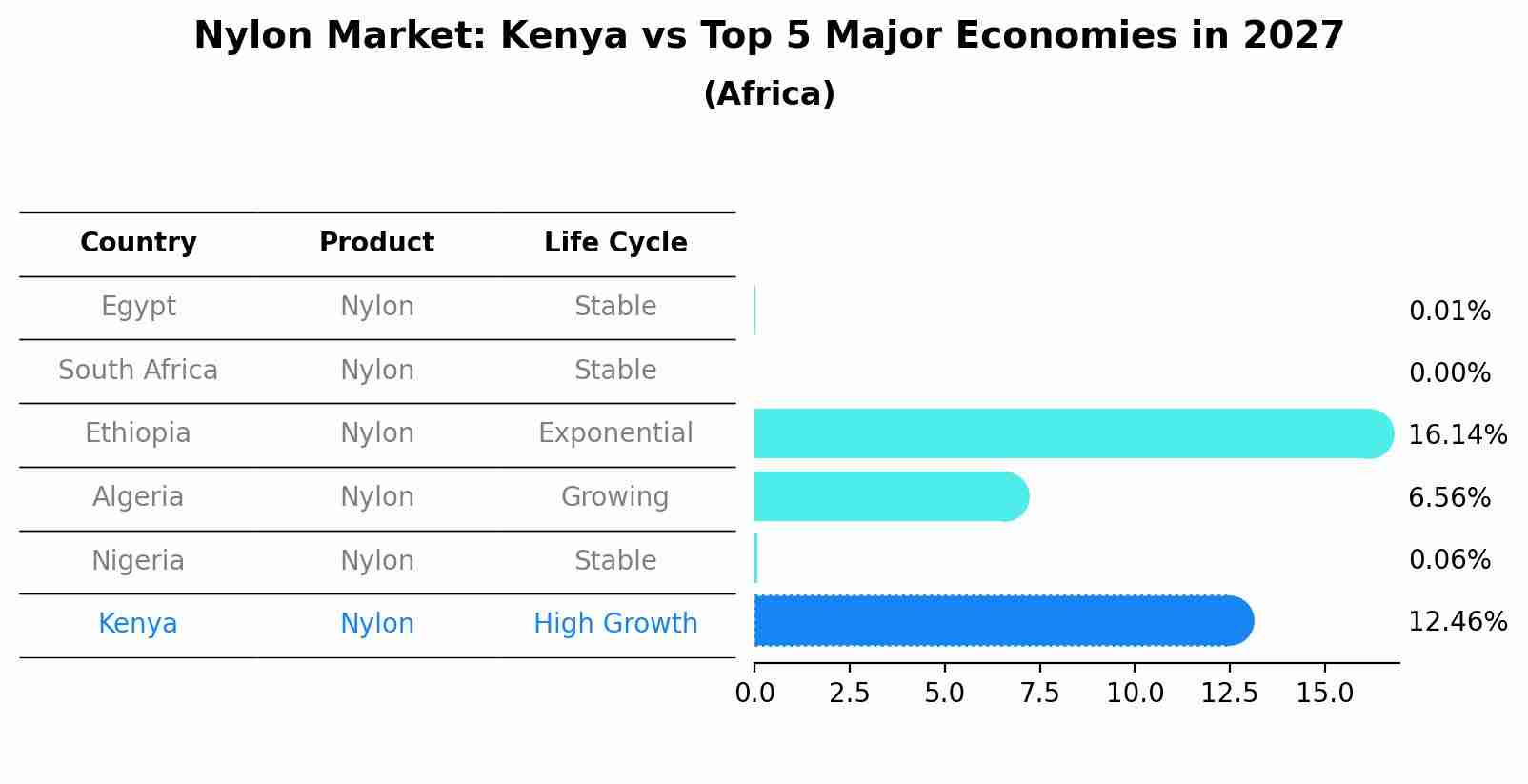 Nylon Market: Kenya vs Top 5 Major Economies in 2027 (Africa)