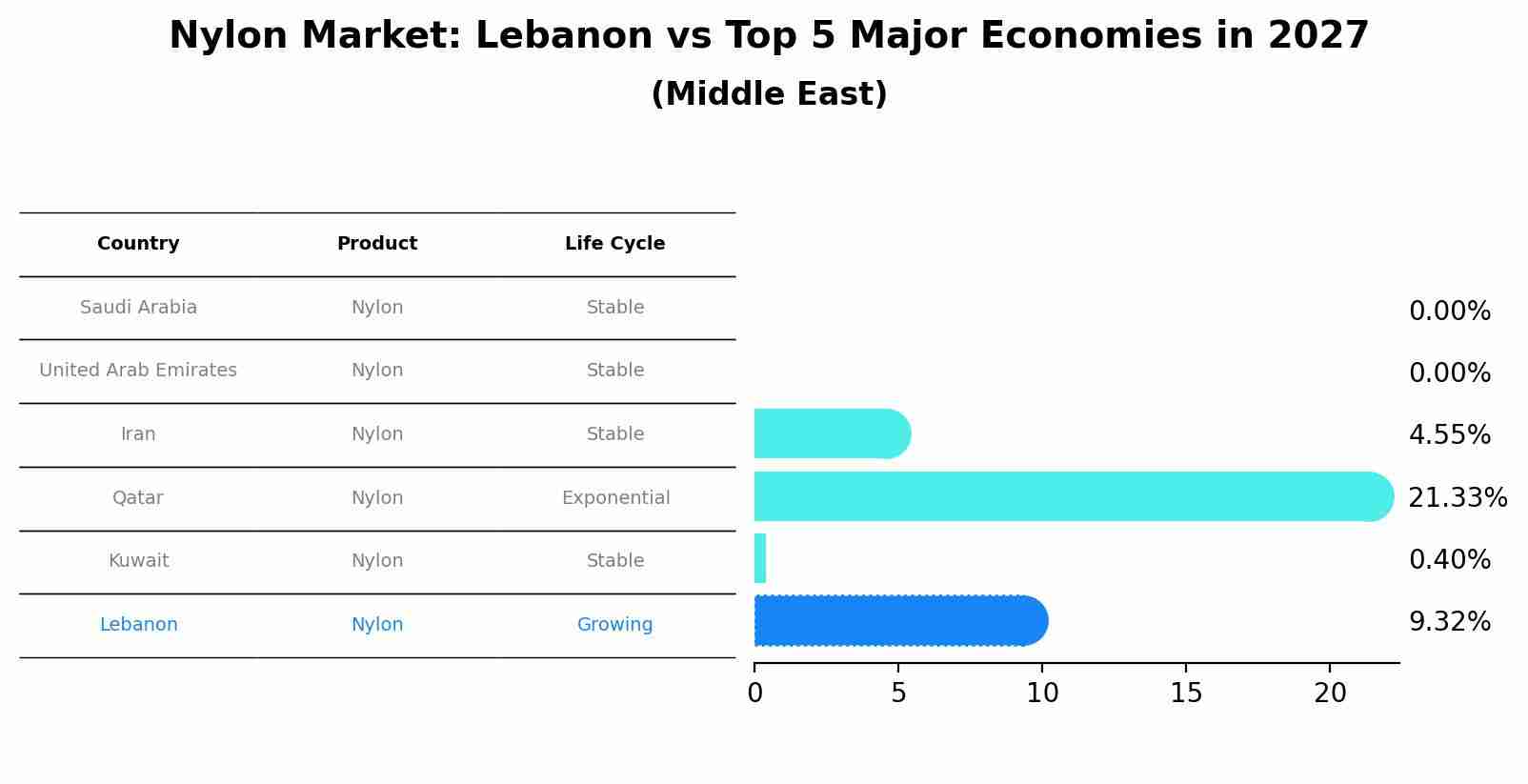Nylon Market: Lebanon vs Top 5 Major Economies in 2027 (Middle East)