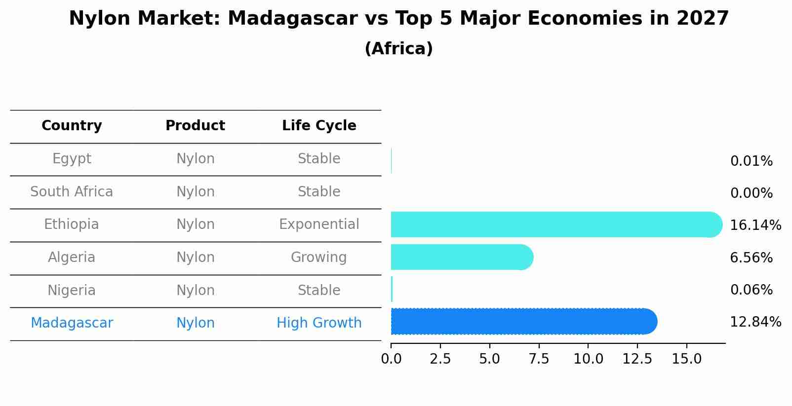 Nylon Market: Madagascar vs Top 5 Major Economies in 2027 (Africa)