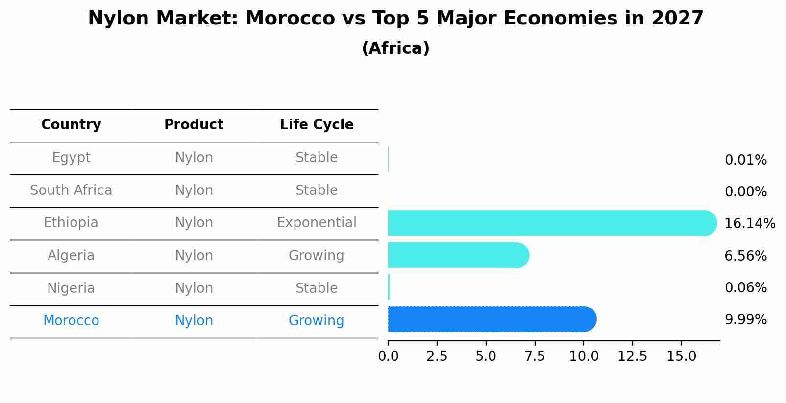 Nylon Market: Morocco vs Top 5 Major Economies in 2027 (Africa)