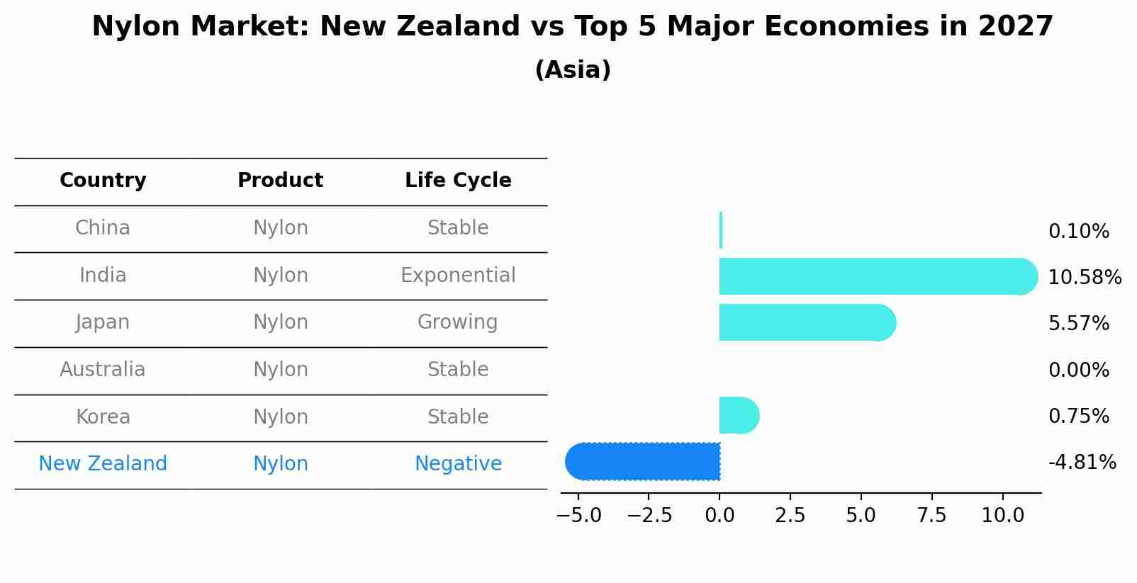 Nylon Market: New Zealand vs Top 5 Major Economies in 2027 (Asia)