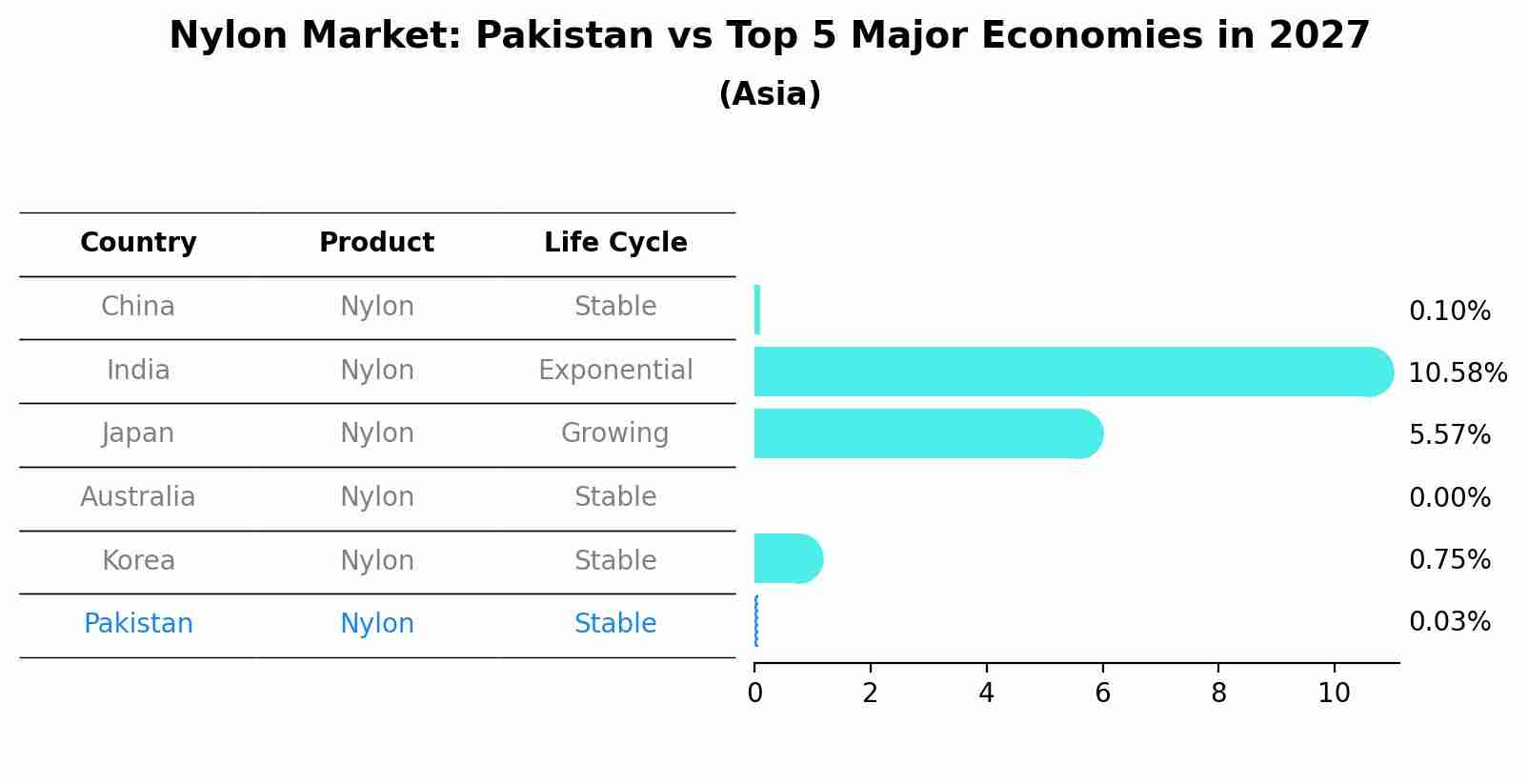 Nylon Market: Pakistan vs Top 5 Major Economies in 2027 (Asia)