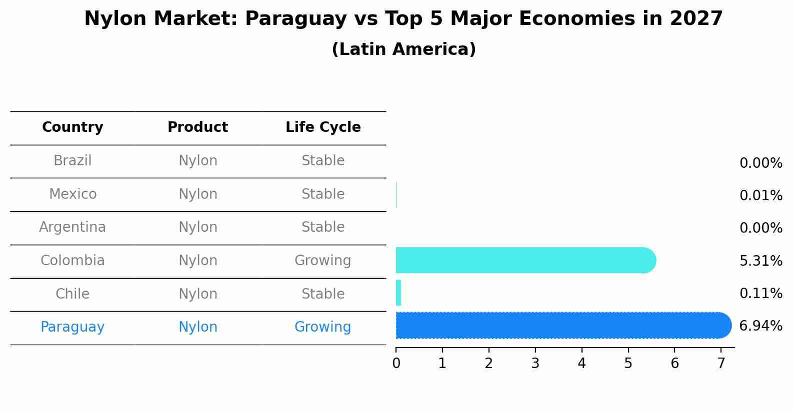 Nylon Market: Paraguay vs Top 5 Major Economies in 2027 (Latin America)